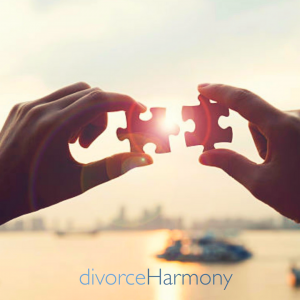 Important Piece of Divorce Mediator