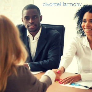 Divorce Consultation 